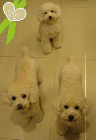 2009040700.jpg 2009040700.jpg