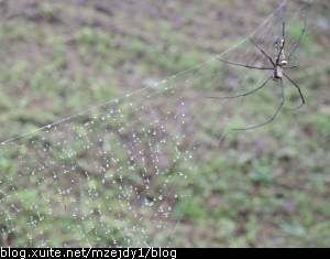 DSCN6765.JPG