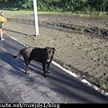 DSCN6986.JPG