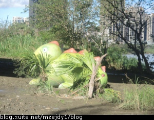 DSCN7050.JPG