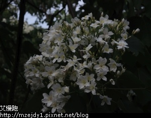 DSCN2575.JPG