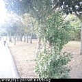 DSCN8942.JPG