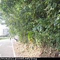 DSCN8954.JPG