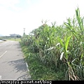 DSCN8973.JPG