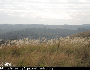 DSCN1248.JPG