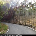 DSCN7679.JPG