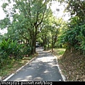 DSCN7683.JPG