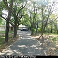 DSCN7684.JPG