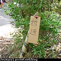 DSCN7685.JPG