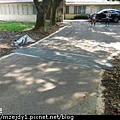 DSCN7686.JPG