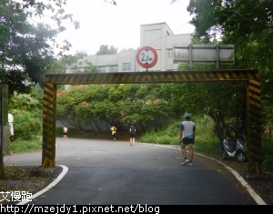 DSCN9254.JPG