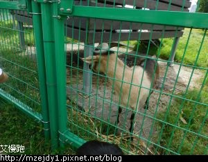 DSCN6940.JPG