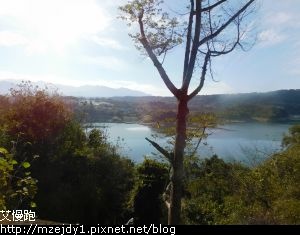 DSCN6990.JPG