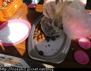 DSCN7039.JPG