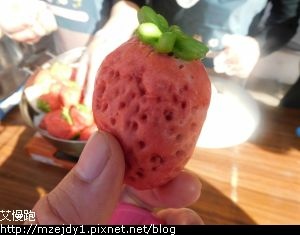 DSCN7045.JPG