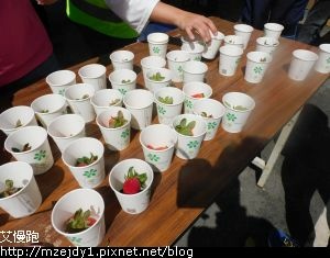 DSCN7141.JPG