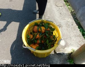 DSCN7560.JPG