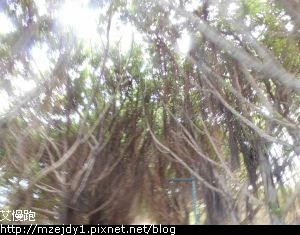 DSCN8760.JPG