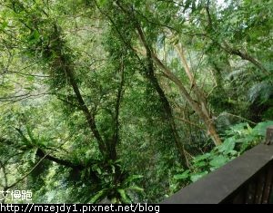 DSCN0078.JPG
