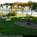 DSCN2897.JPG