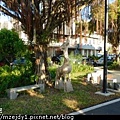 DSCN2899.JPG