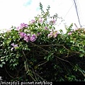 DSCN7500.JPG