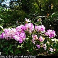 DSCN7549.JPG