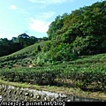 DSCN7555.JPG