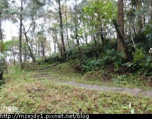 DSCN7202.JPG