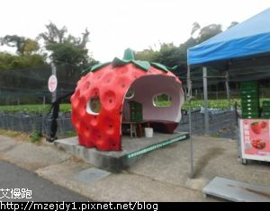 DSCN8586.JPG