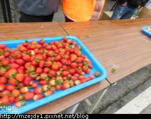 DSCN9074.JPG
