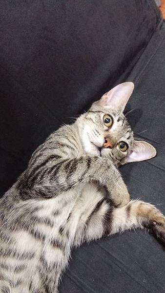 11994389_958269380860340_79775754_n.jpg 11994389_958269380860340_79775754_n.jpg