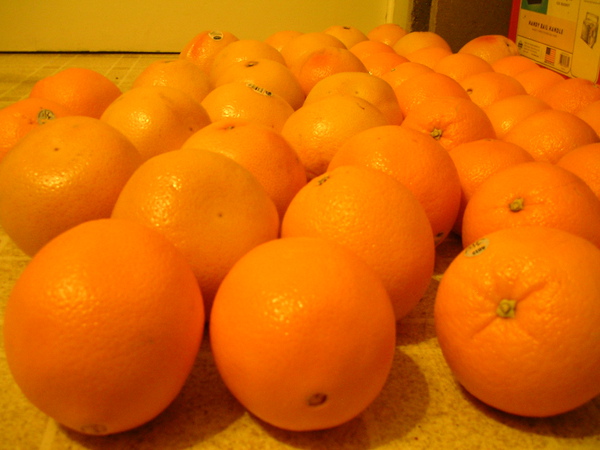 100123orange and grapefruit.JPG