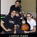 Linkin Park*