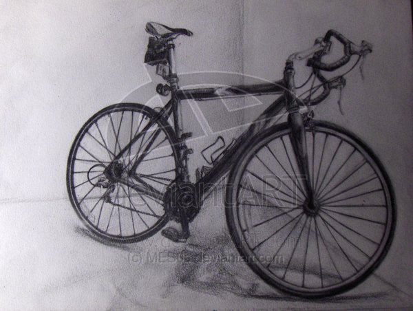 Bicycle8.jpg