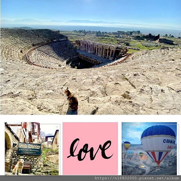 S__124116995.jpg S__124116995.jpg