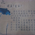 照片 1794