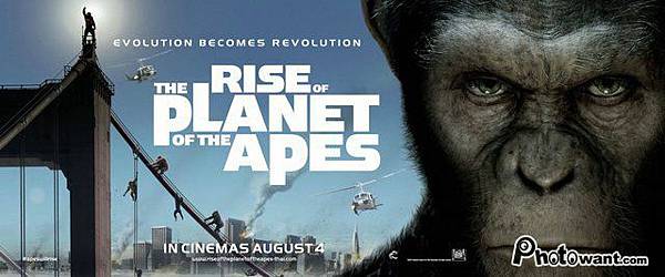 猩球崛起(Rise of The Planet of The Apes)