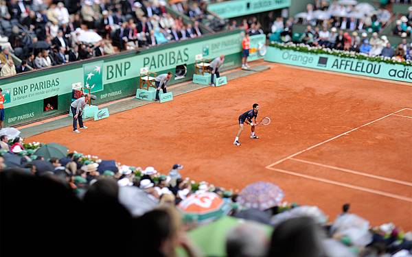 2012法網 (The French Open 2012) 