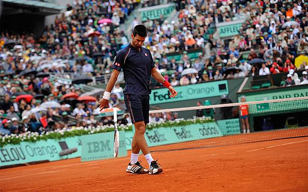 2012法網 (The French Open 2012) 