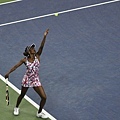 2012美網 (US Open 2012)