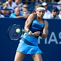 2012美網 (US Open 2012)