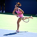 2012美網 (US Open 2012)