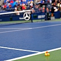 2012美網 (US Open 2012)