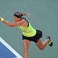 2012美網 (US OPEN 2012)