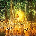 少年Pi的奇幻漂流 (Life of Pi) Nov.2012