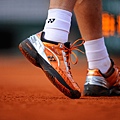 2013法網 (French Open 2013) Days 8 to 13
