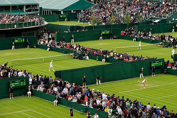 2013溫網 (Wimbledon Championships,2013) Before Final