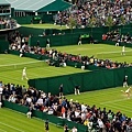 2013溫網 (Wimbledon Championships,2013) Before Final