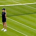 2013溫網 (Wimbledon Championships,2013) Before Final